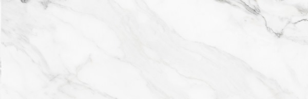 INSIGNIA WHITE Matt 31,6x100 Colorker