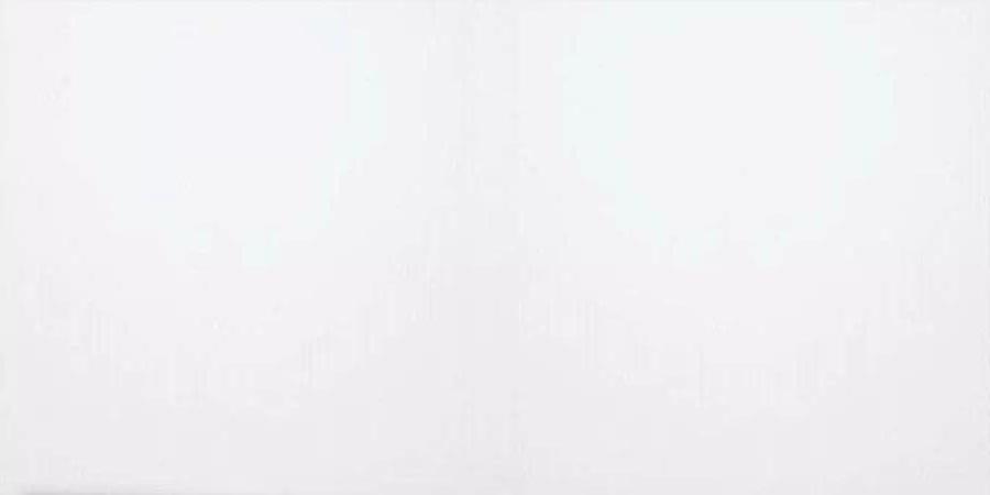 White Glossy 60x120 SotGres