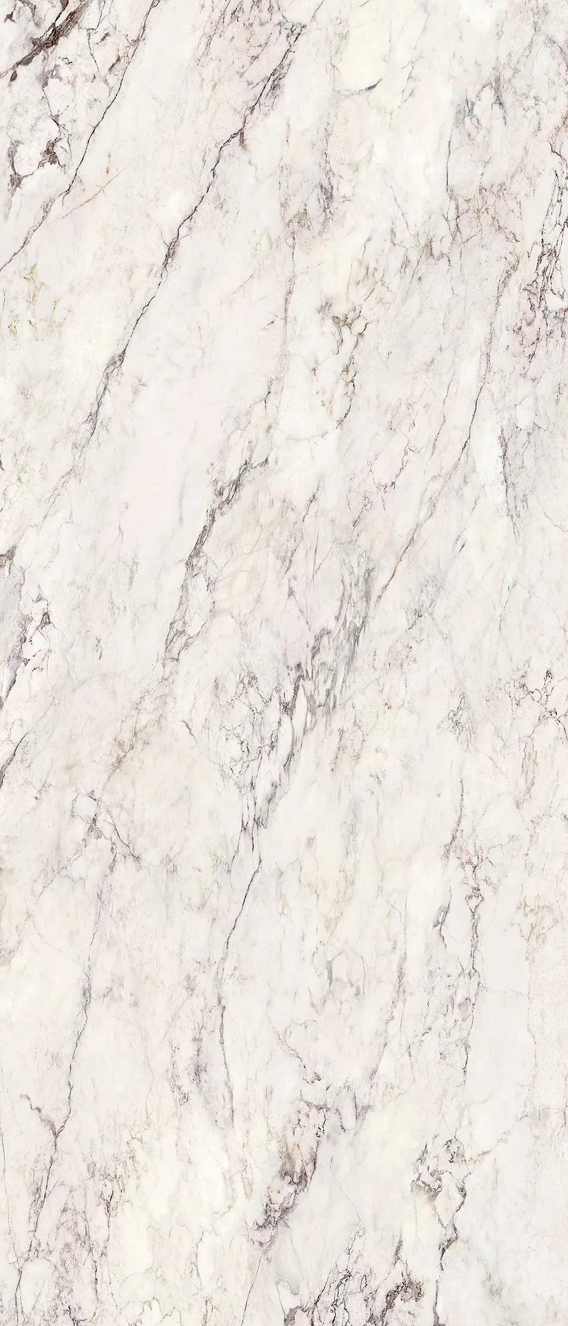 274001 Breccia Capraia Nat Ret 120x280 La Fabbrica Ceramiche фото 4