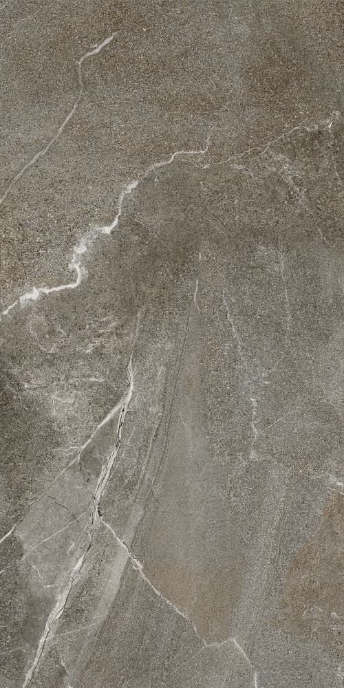 6493-0146 Гроза бежево-коричневый 60х120 Lasselsberger фото 14