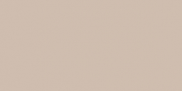 WAAV4008 CONCEPT PLUS Beige 30x60 RAKO