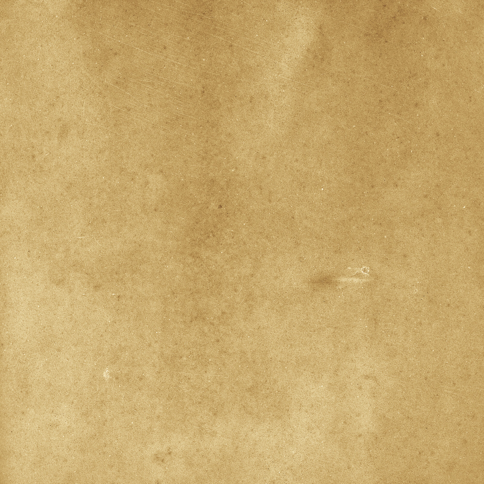 43288 Samira Gold 10x10 Harmony фото 49