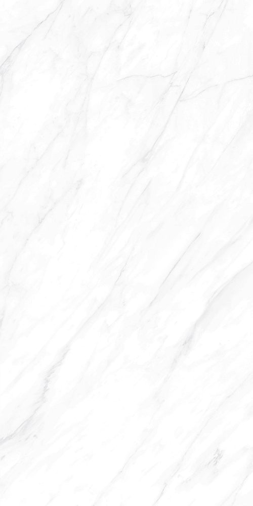 BHW-0022 Carrara Matt Grains Soft-Polished Mould 600x1200x10 Basconi Home