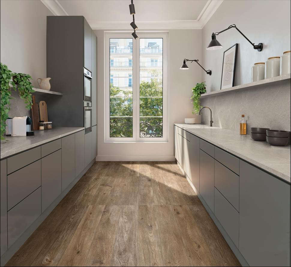 Inedito Ragno Marazzi