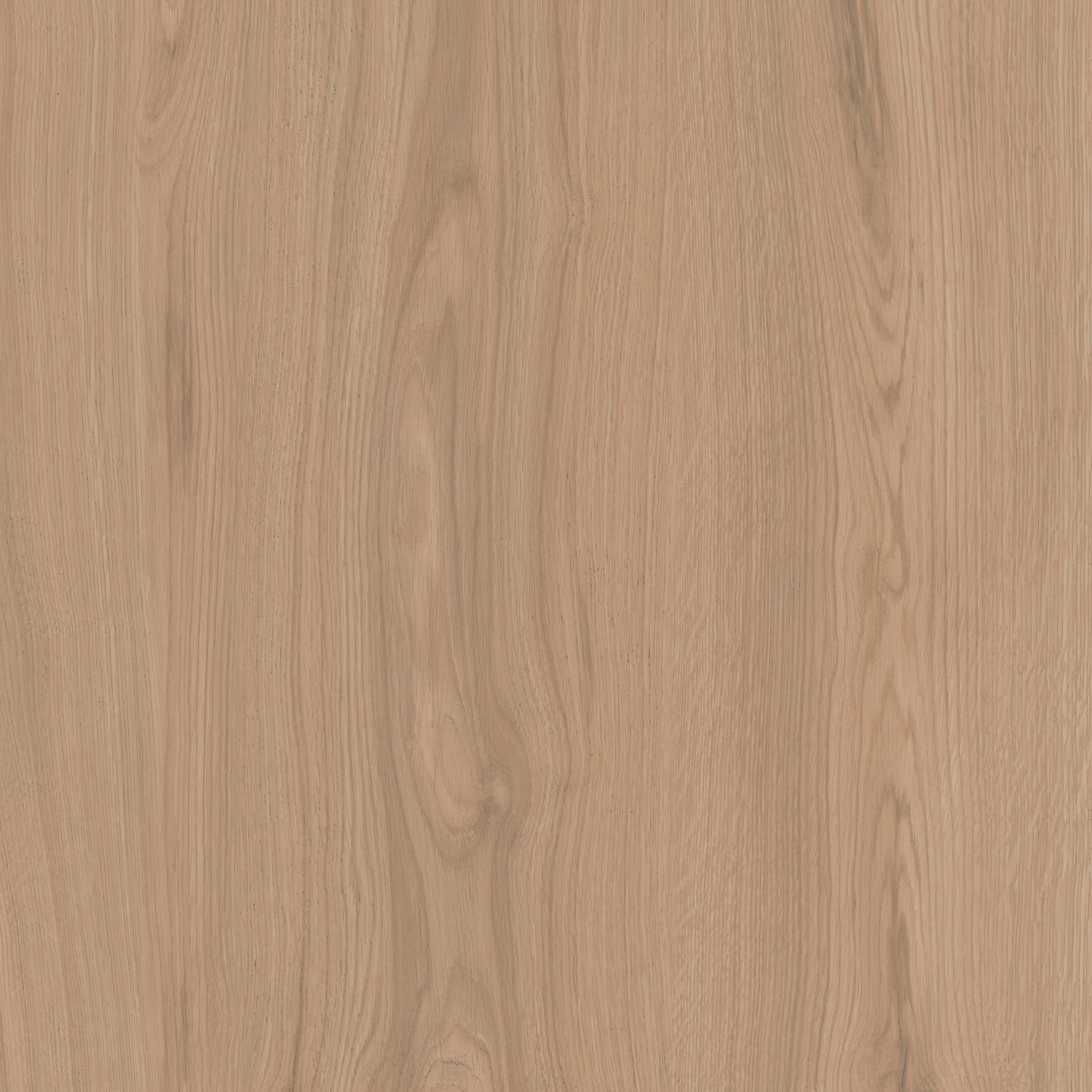 SG643620R Альберони бежевый матовый обрезной 60x60x0,9 Kerama Marazzi