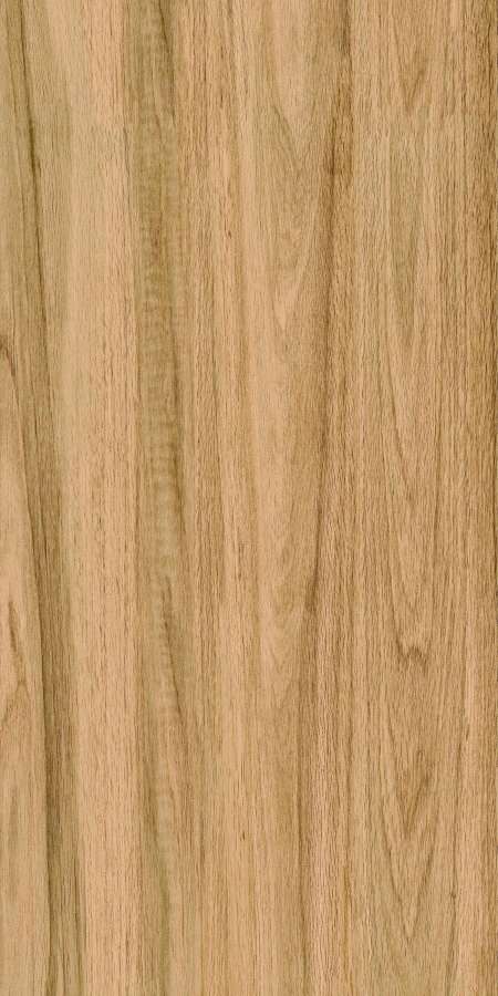 Greenwood Great Matt 60x120 Bonaparte