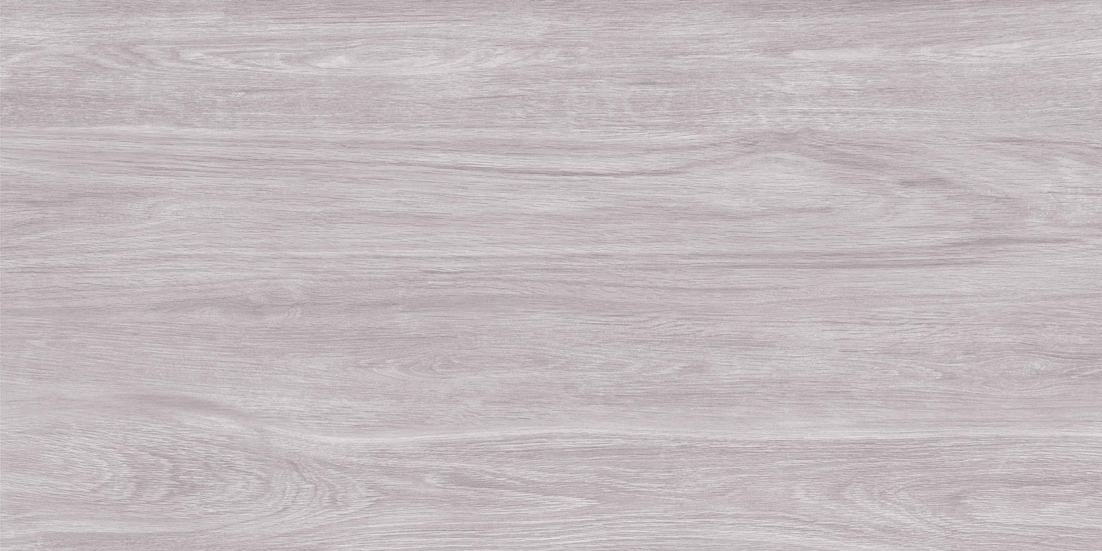 71956 Florida Light Grey Matt 20mm 60x120 Persepolis Tile