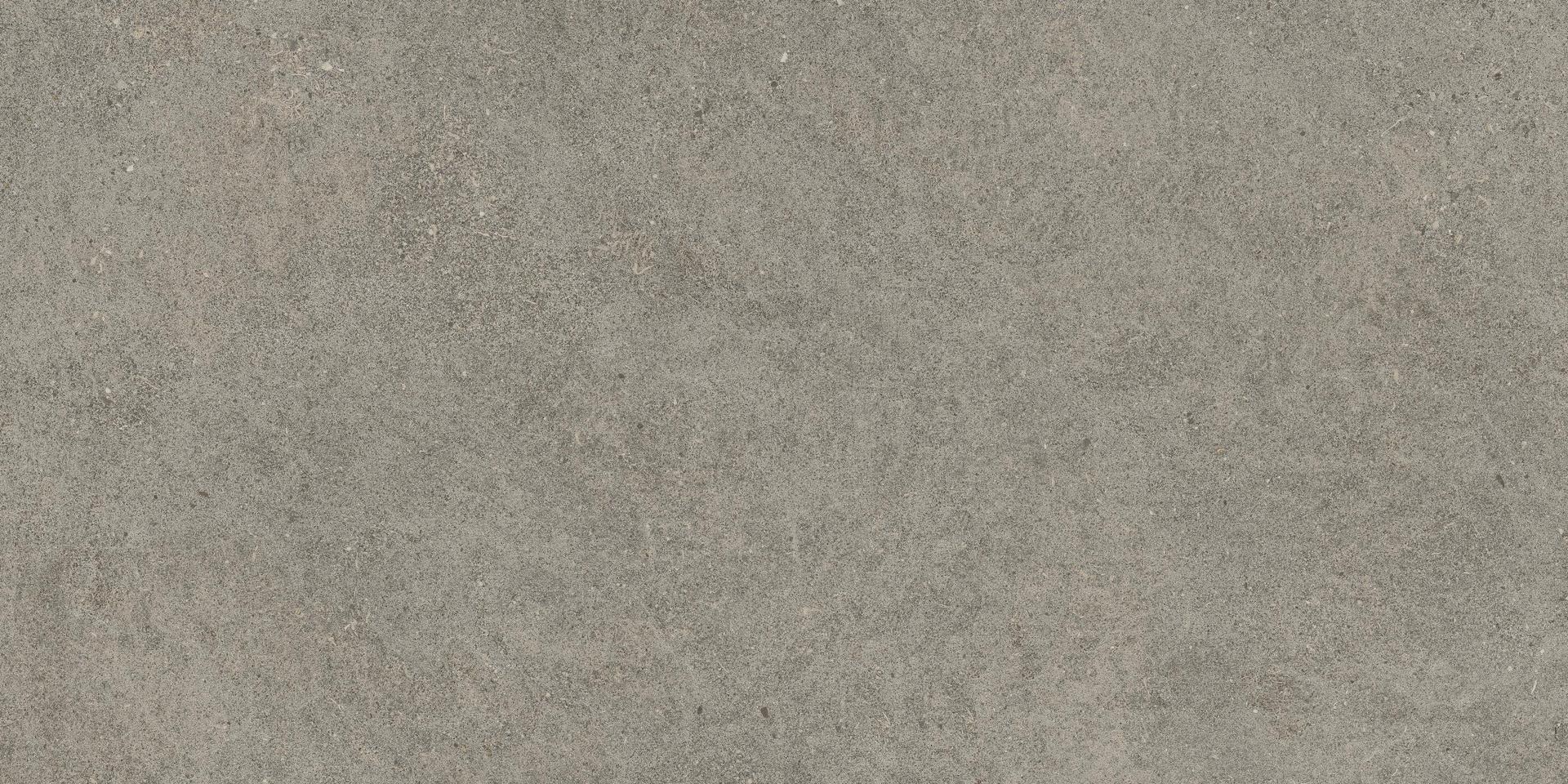 610010004124 Forte dei Marmi Rock Lunar Grey 20mm 60x120 Atlas Concorde Russia фото 5