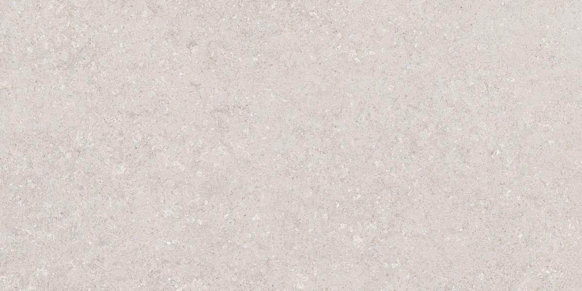 N120036 Венти Машрум Матовая 60x120 Neodom