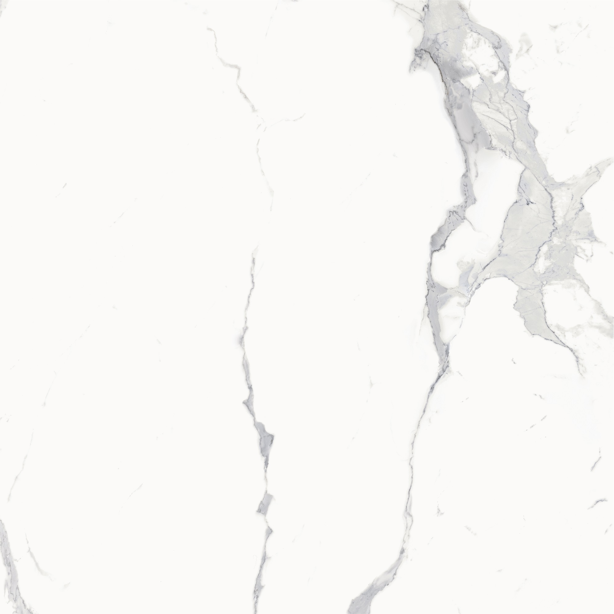 600010002386 Stellaris Statuario White Nat Ret 120x120 Italon