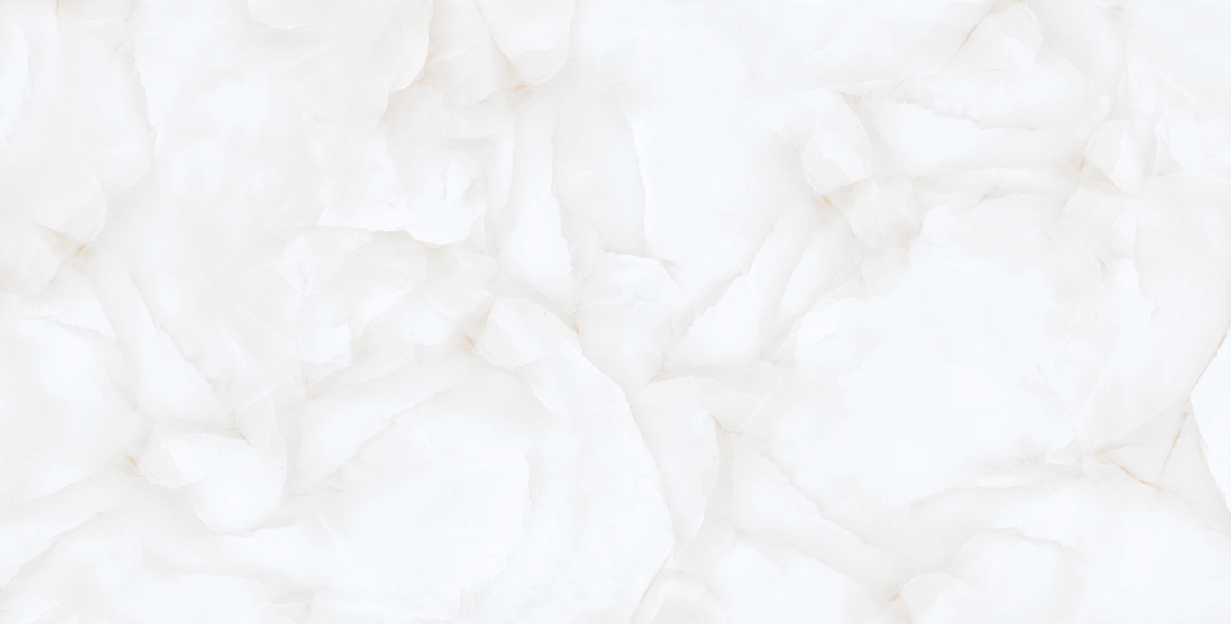 Brais White Carving 60x120 Realistik