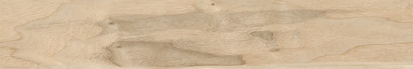 074.922.0119.13262 Walnut Sand 20x120 Pamesa