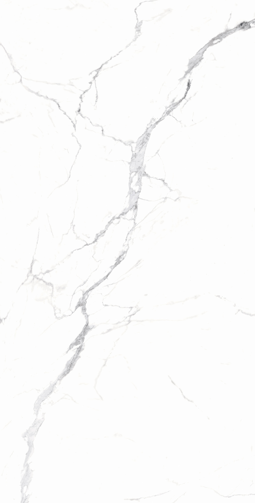 RT7018-A Carrara White Matt Rustic 60x120 Arcadia Ceramica