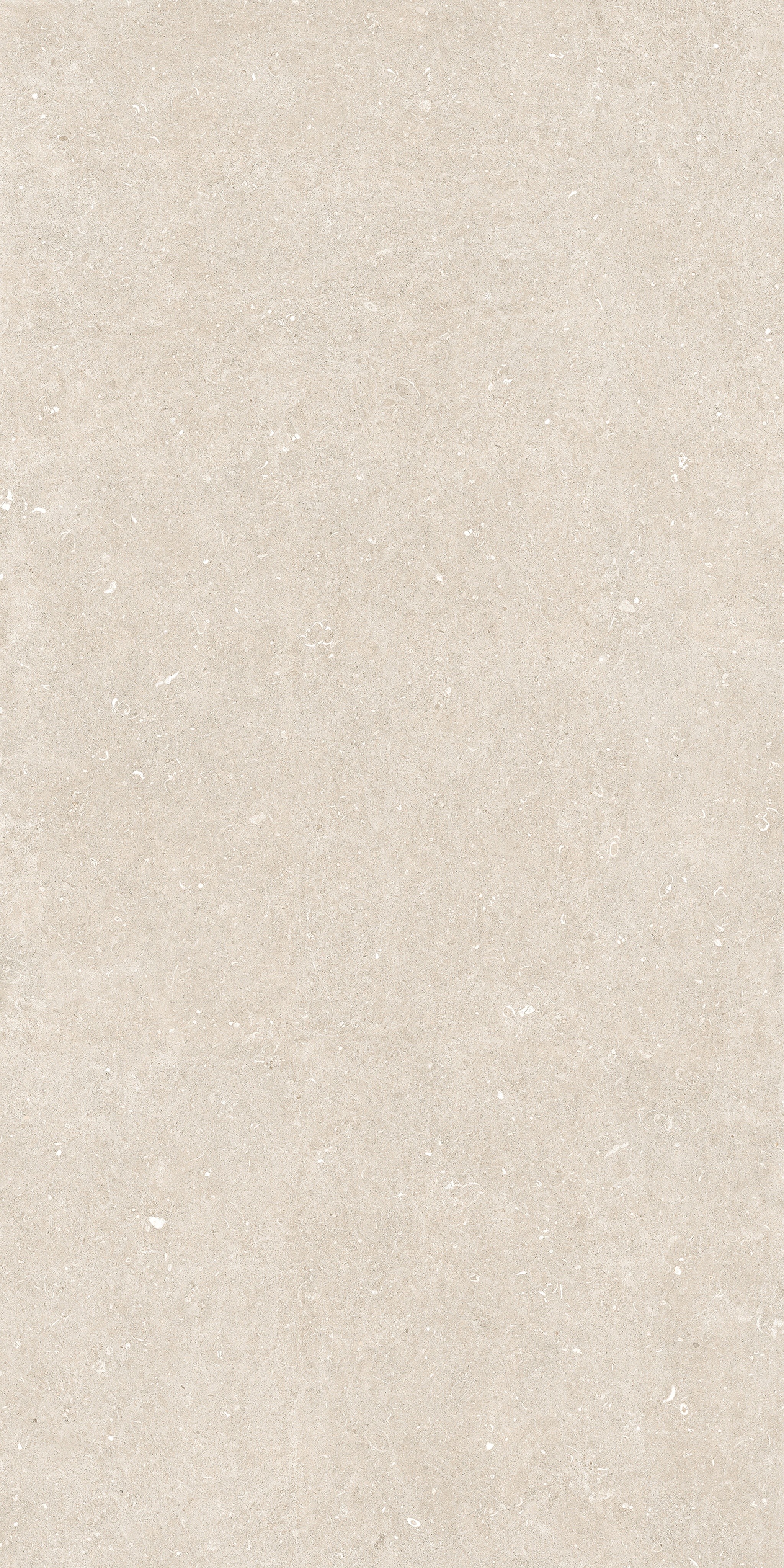 785582 Rinascenza Arena Bianco Antico Matte 6mm 120x240 Casa Dolce Casa фото 3