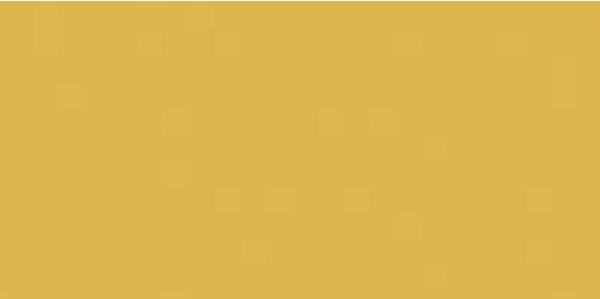 GAAD8142 Color Two 10*20 RAKO