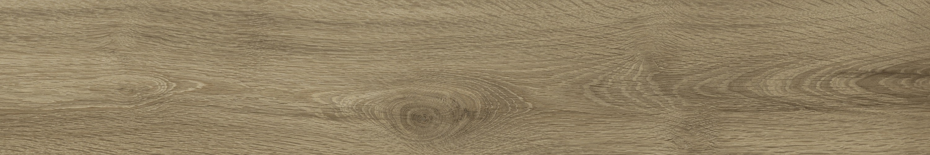 WD106 Branch Taupe 20x120 PrimaVera