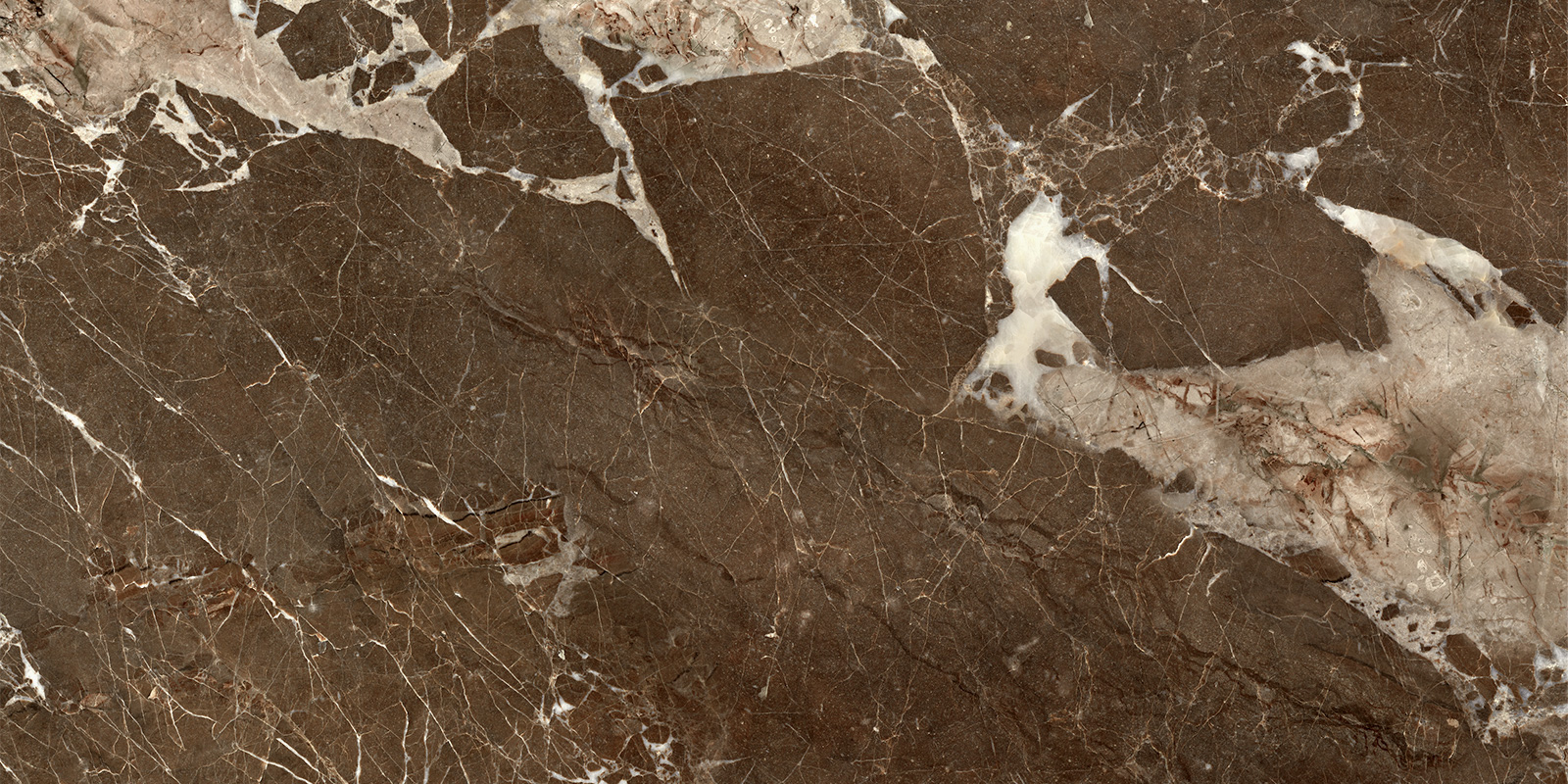 60120KTN21P Kontinent brown полированный 600x1200x7 Artkera Group фото 2