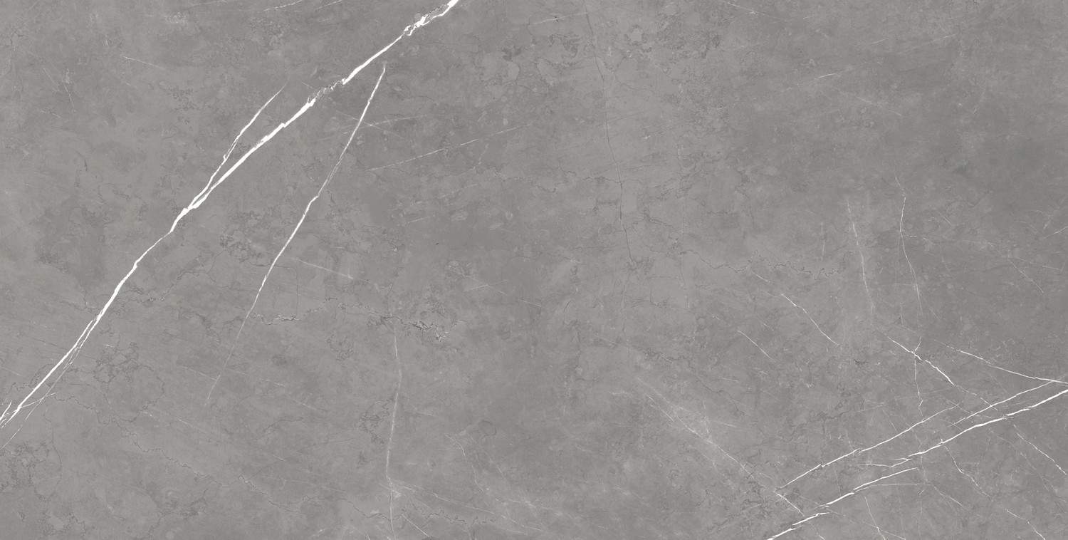 610015000665 Forte dei Marmi Elegant Grey Lapp 80x160 Atlas Concorde Russia