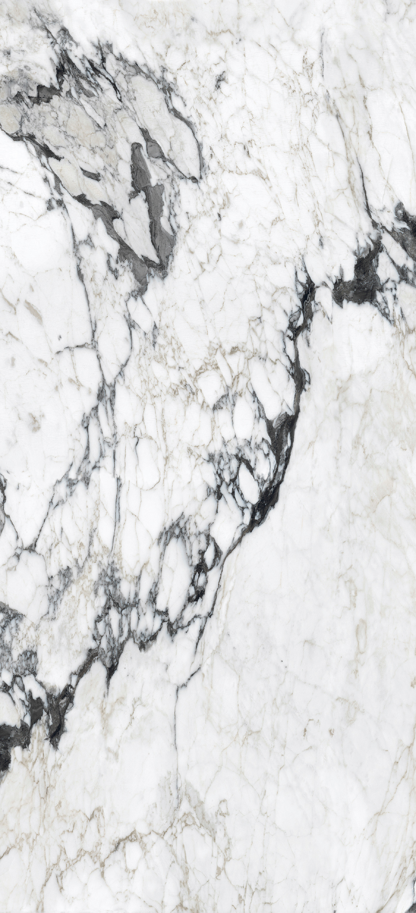 765697 Bijoux Calacatta Altissimo Glossy 6mm 120x280 Rex Ceramiche фото 5