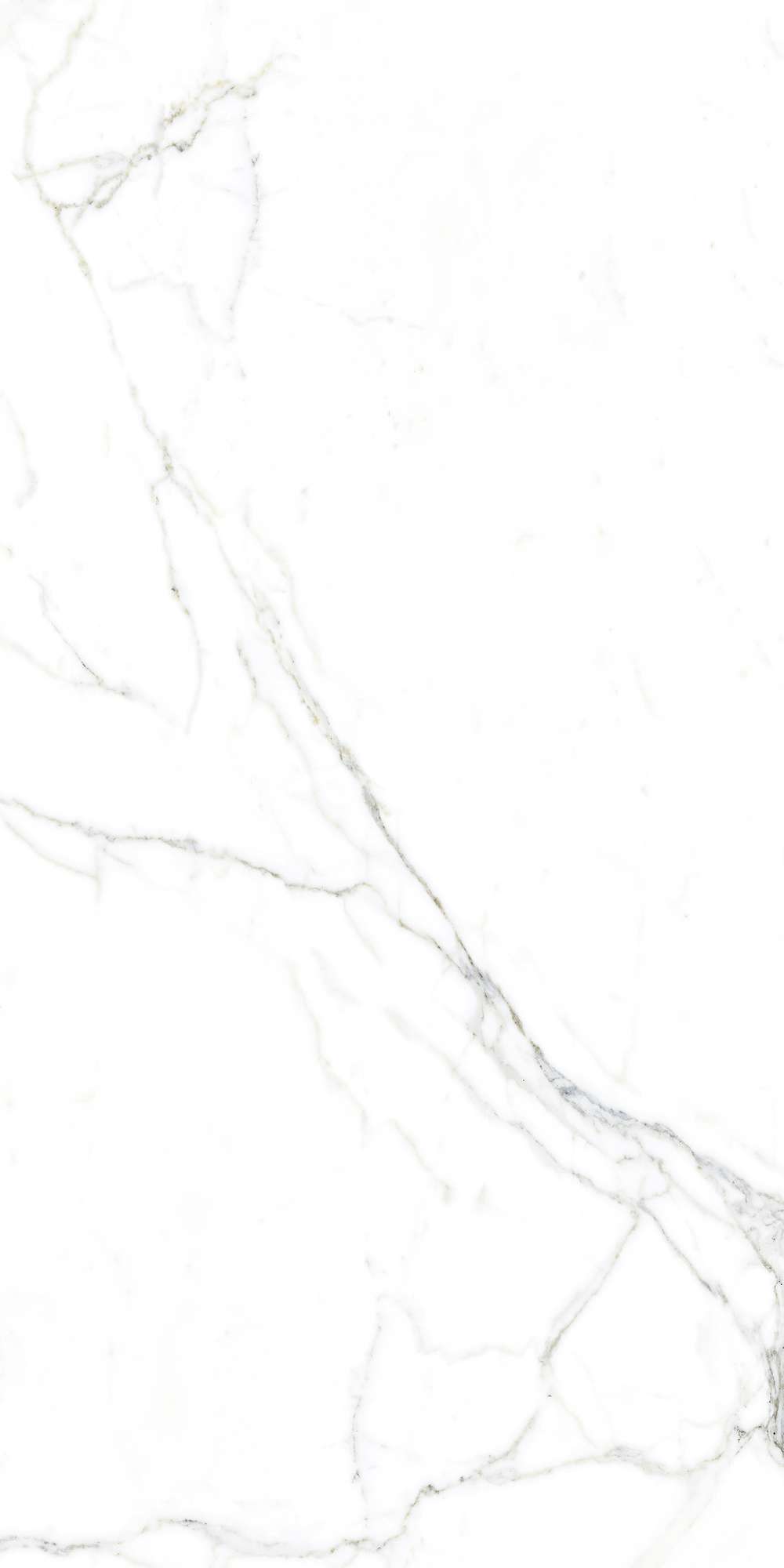 FP1002-A Luce Statuario Full Polished 60x120 Arcadia Ceramica