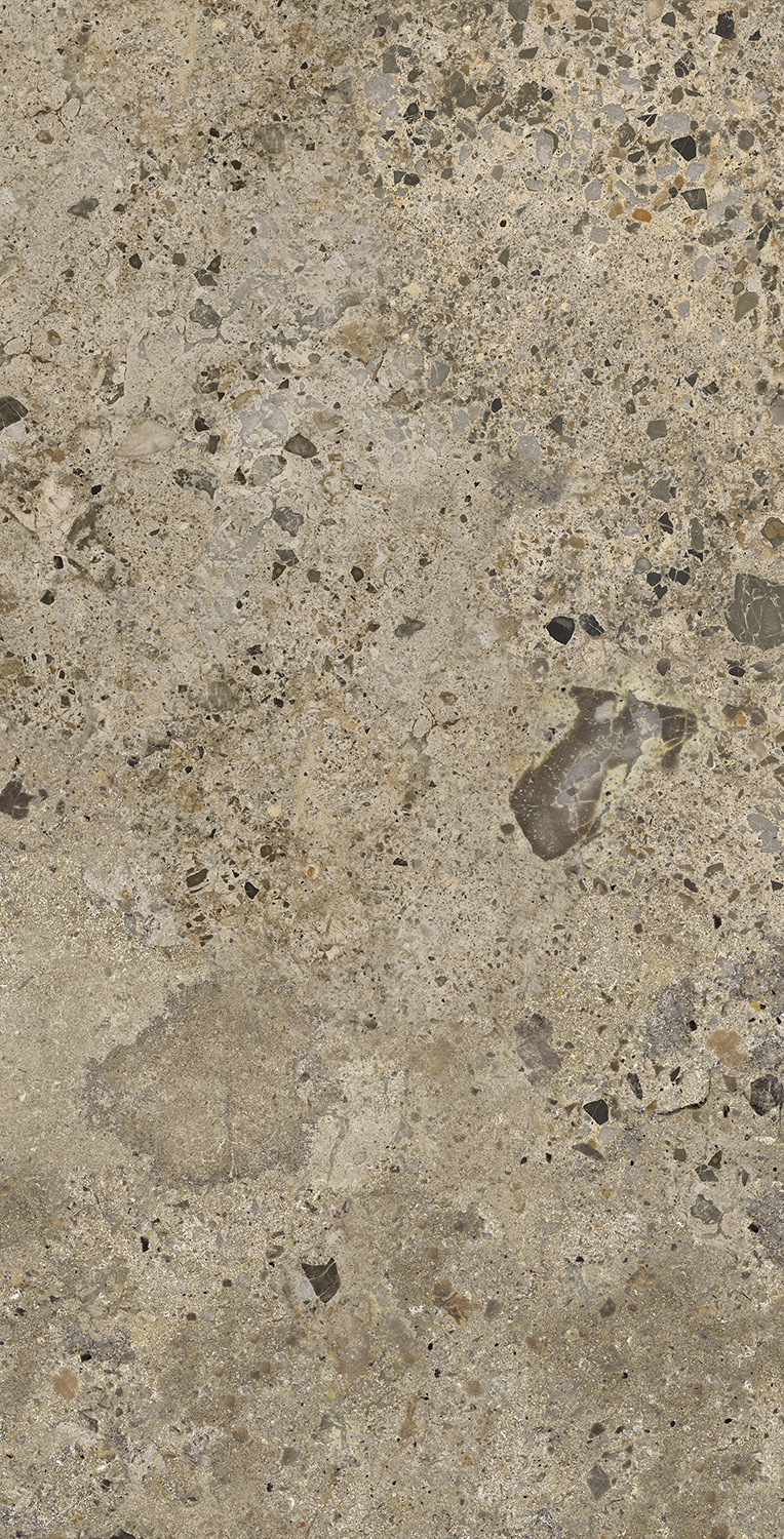 AC126196A Pietra Viva Matt 60x120 Artecera