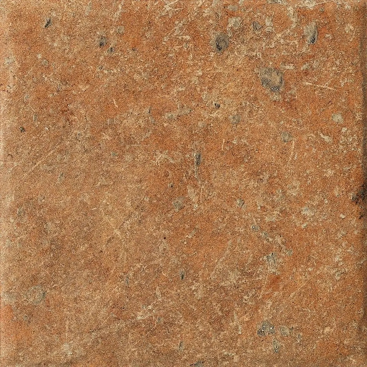 1080481 Cotto Del Campiano Cotto Dorato 20x20 CIR