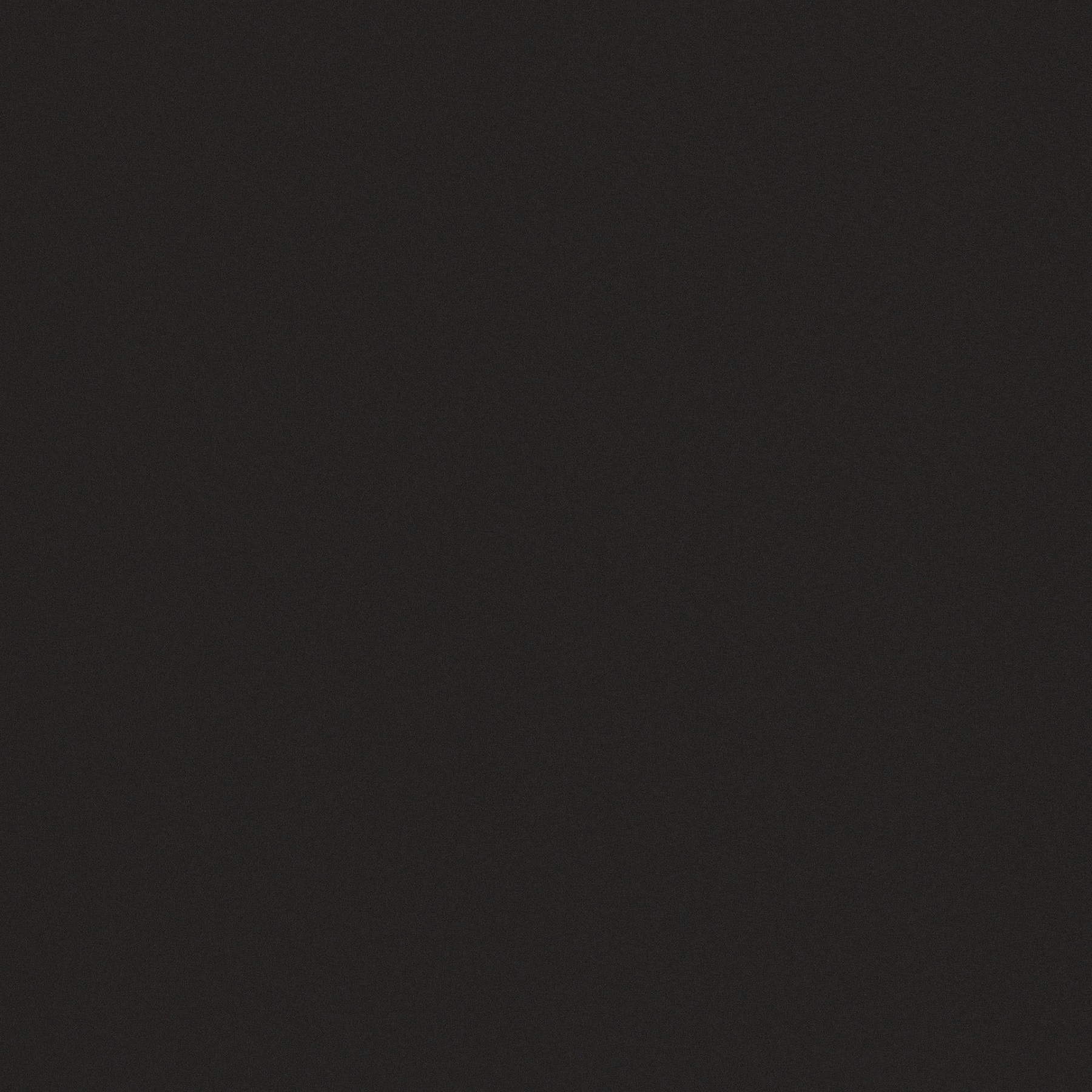 4950048 Architecture Black Naturale 10,5 мм 60x60 Casalgrande Padana