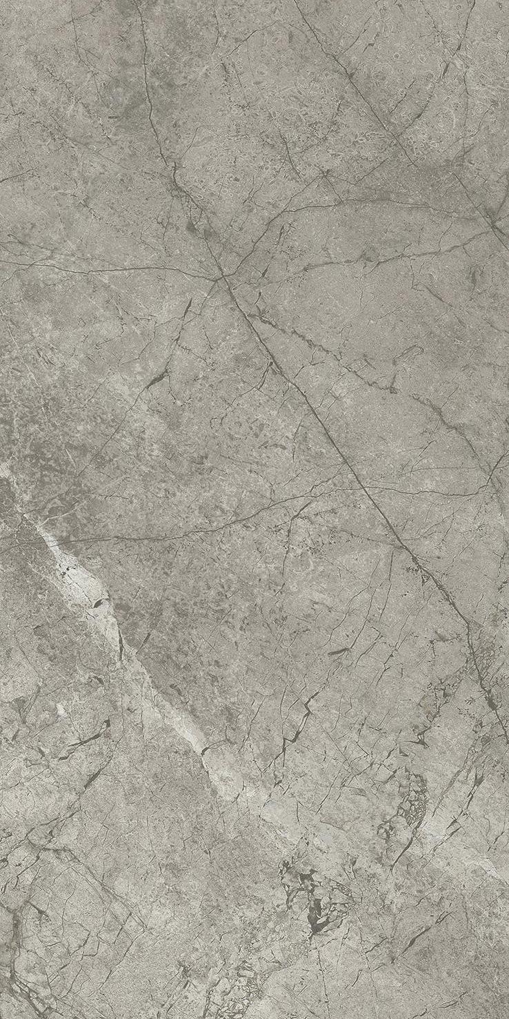 AJJM Marvel Meraviglia Silver Majestic Matt 30x60 Atlas Concorde