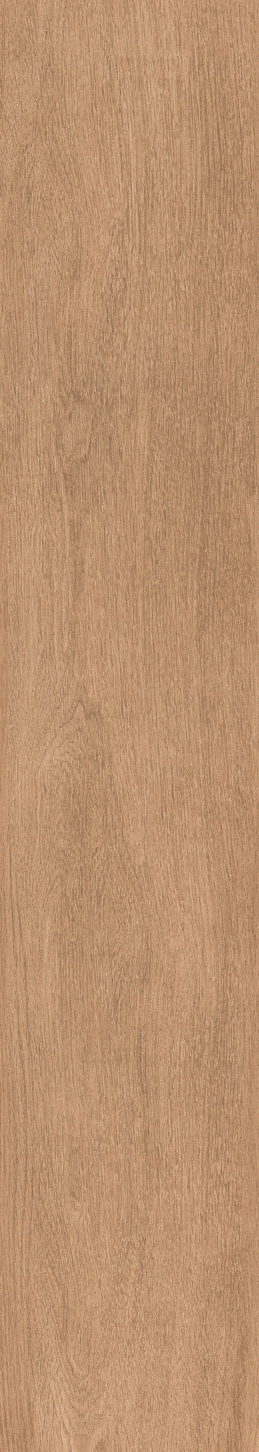 1057 Torino Brown Mate 120x20 Artcer