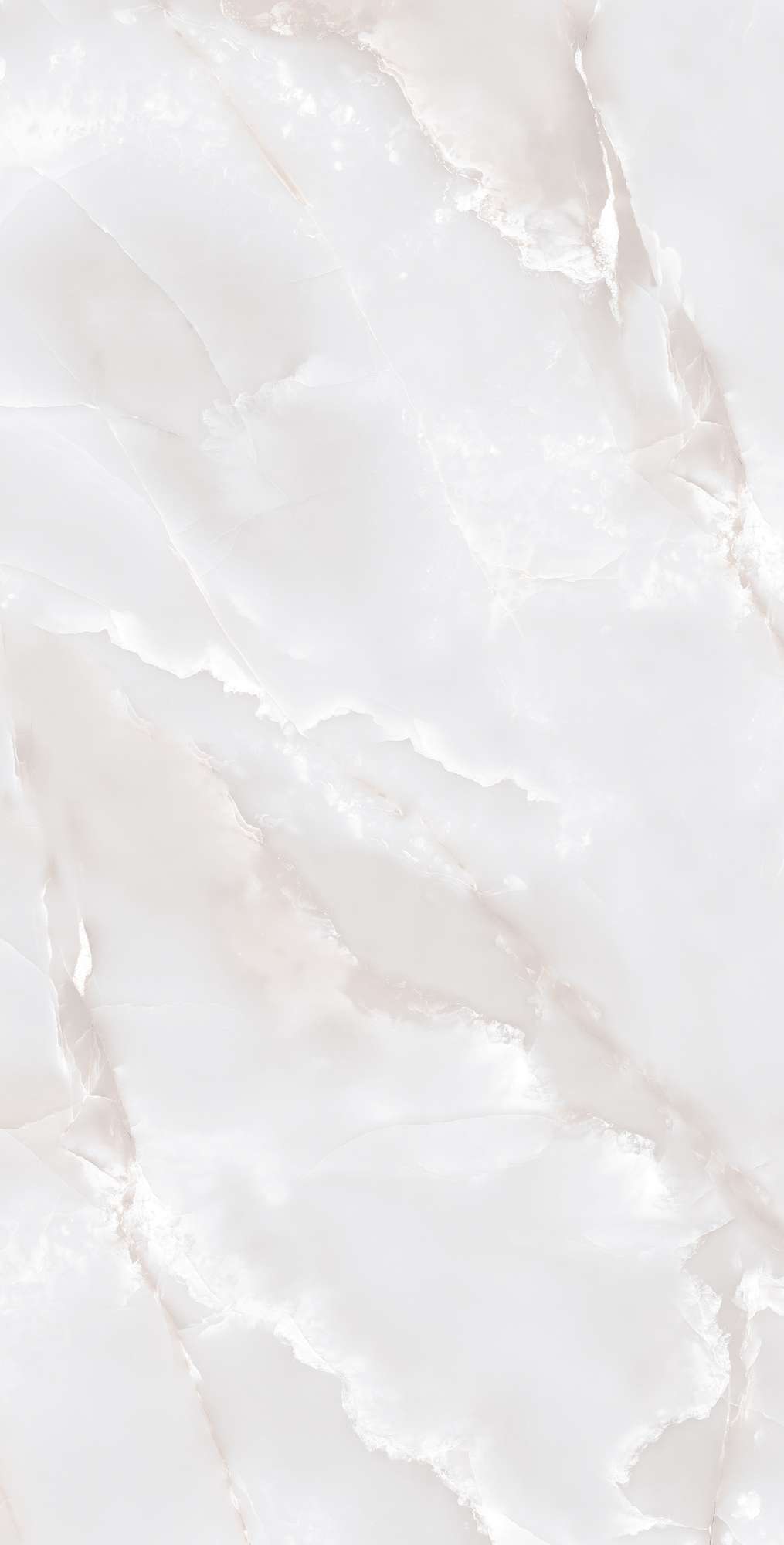 FP1017-A Primo Onyx Grey Full Polished 60x120 Arcadia Ceramica