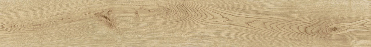 AOUH Exence Vanilla 18,5x150 Atlas Concorde