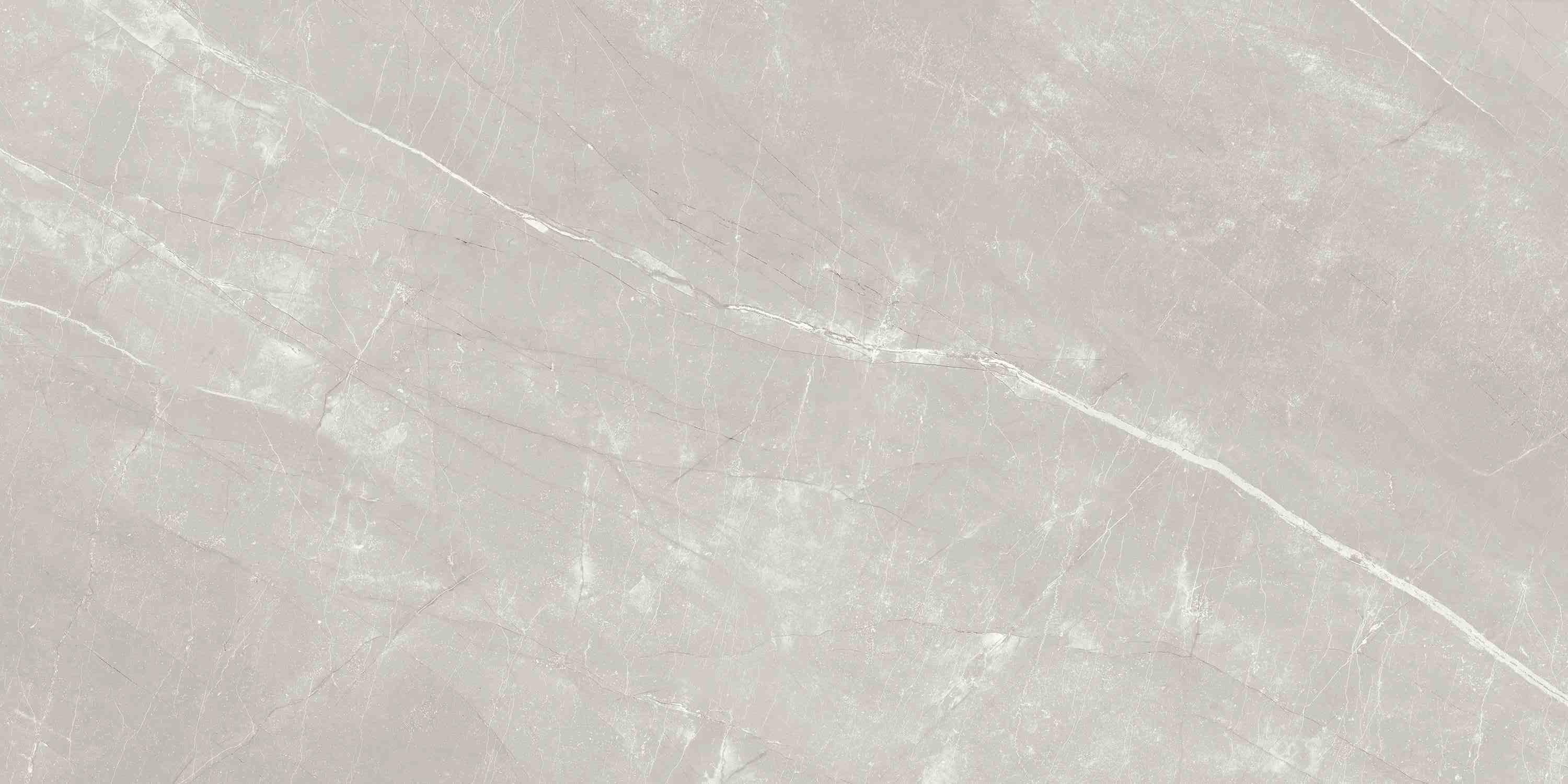 ENSTN7004MT60120 Alaska Grey Matt 60x120 Ennface фото 5