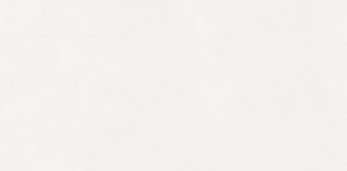 N110011 Aston White Matt 60x120 Neodom