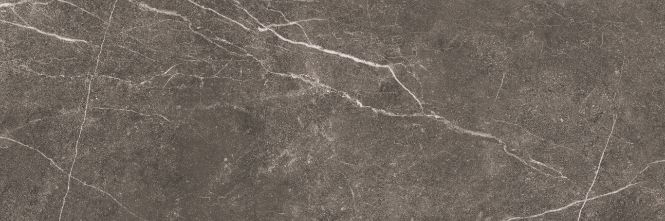 Shetland Dark Rectificado 33.3х100 Baldocer