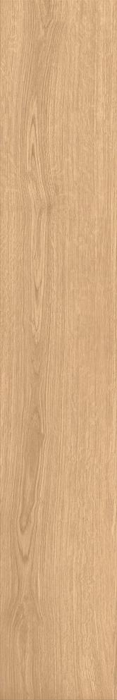 CAI1 Izumi IZ01 Chiaro Selezionato SP SQ 20x120 Mirage