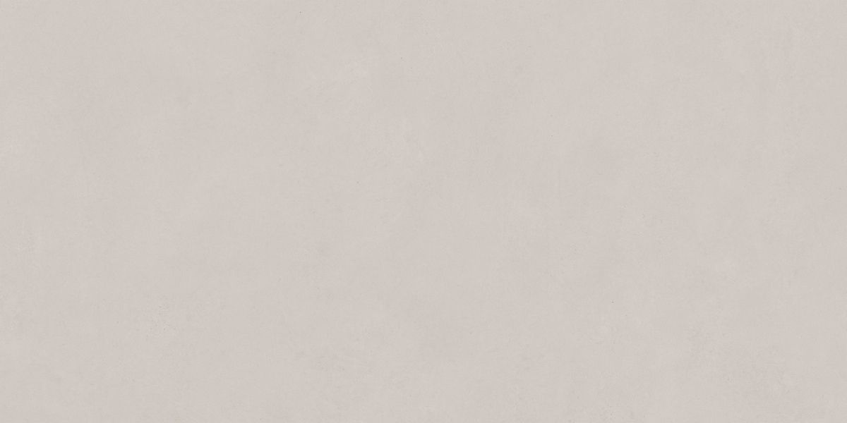 N12036 Blossom Pebble Matt 60x120 Neodom