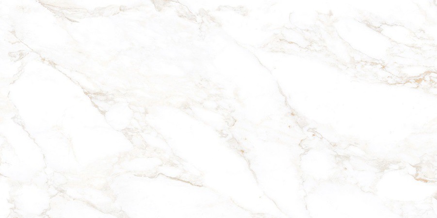 NTT99526M Marble Extra Endless 60x120 NT Ceramic
