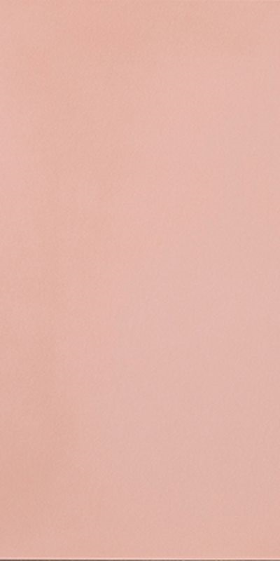 R-Evolution Light Pink 36SC R10 60x120 Casalgrande Padana