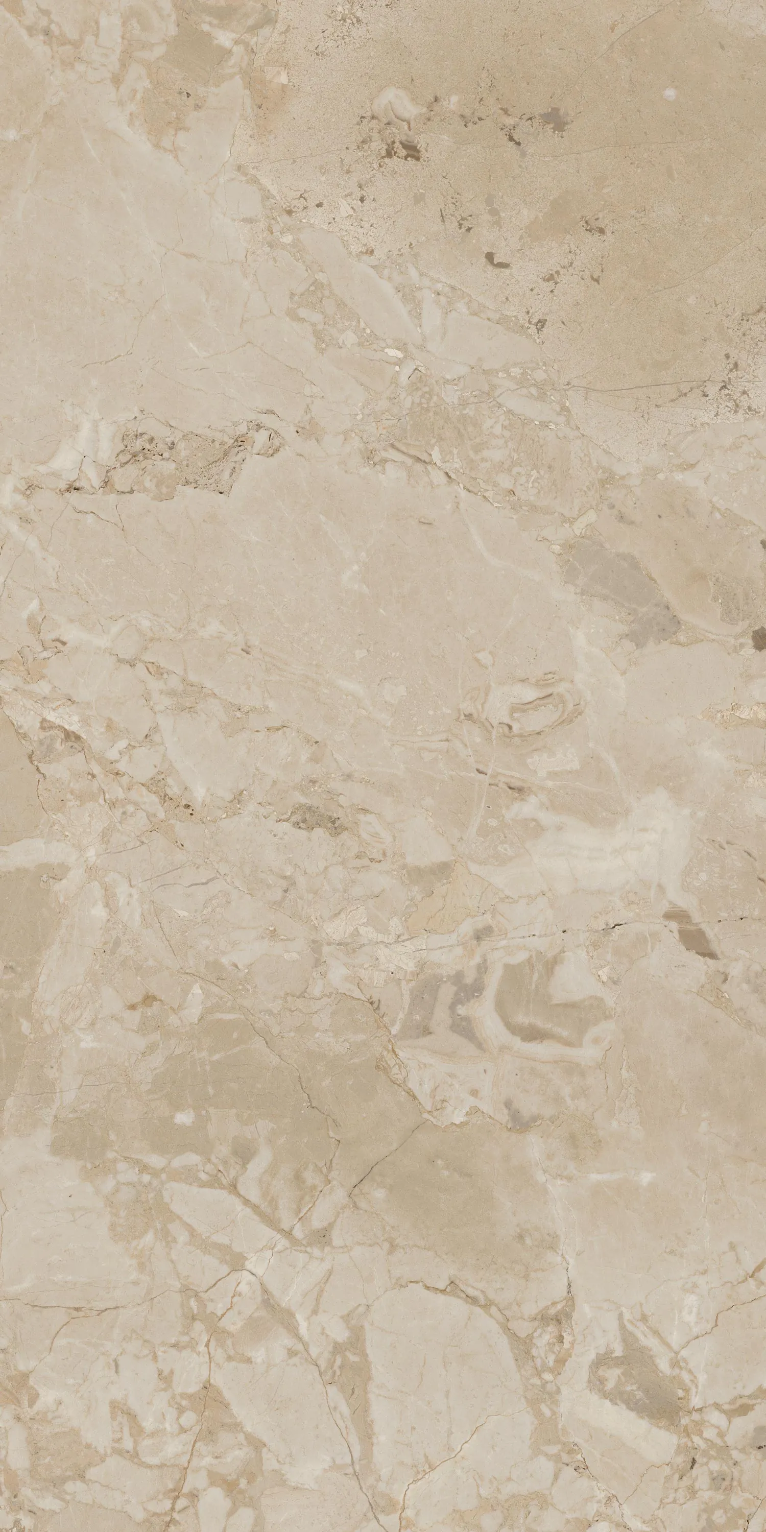 610010001538 Вивальди Крим Рет 60x120 ColiseumGres фото 4