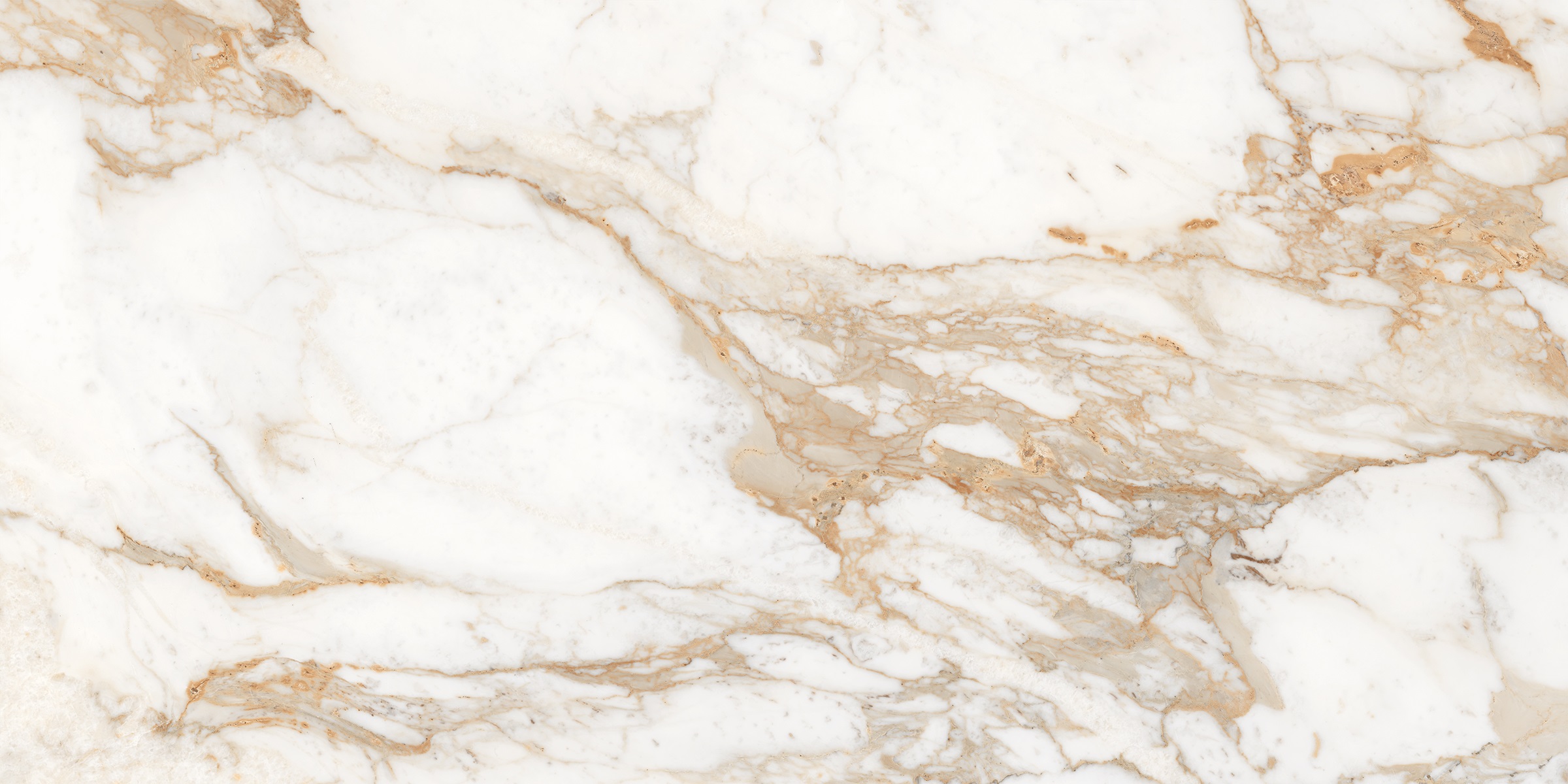 Calacatta Oro полированный 60x120 Laparet