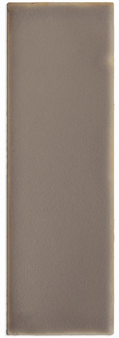 134437 Chalk Fossil 4x12.5 DNA Tiles