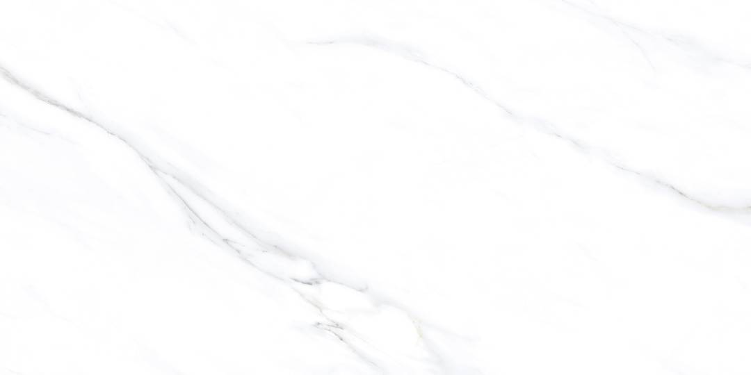 LC201 Palido Grey Lapato Carving 60x120 PrimaVera