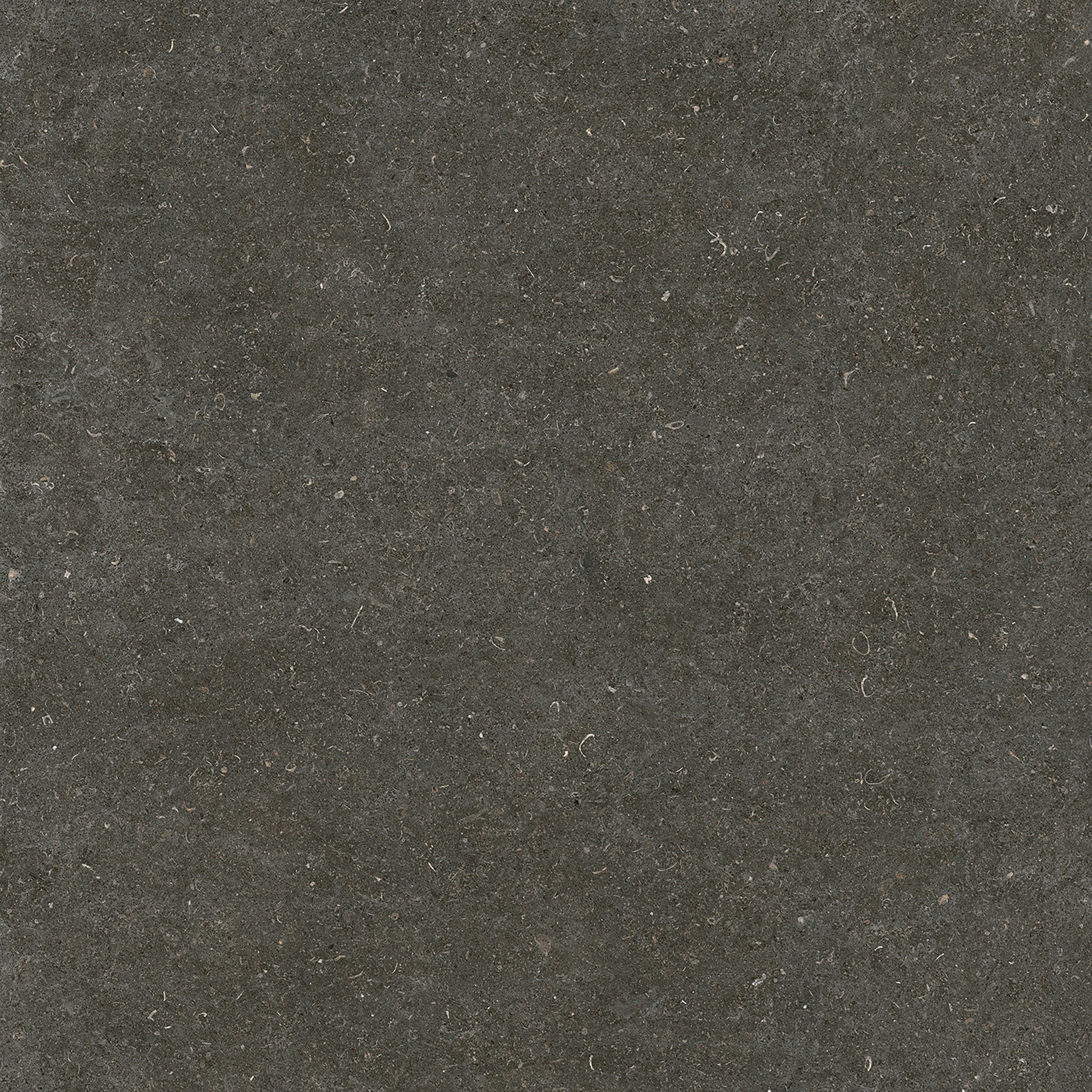 785581 Rinascenza Arena Platino Matte 6mm 120x120 Casa Dolce Casa фото 2