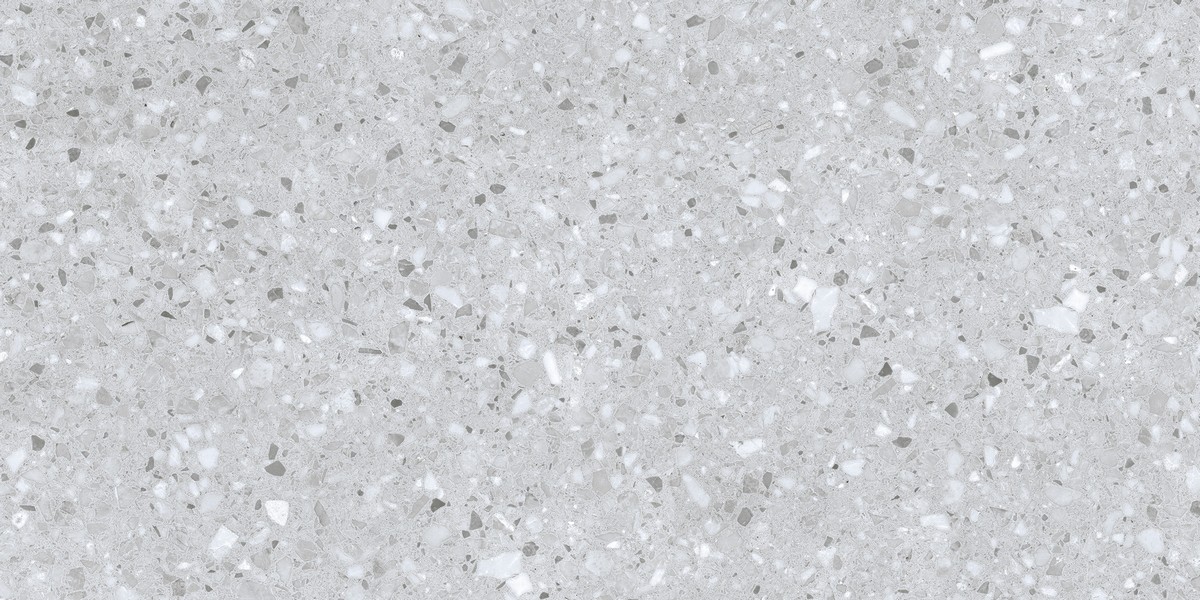 ENIND1039MT60120 Porto Silver Matt 120x60x0.9 Ennface