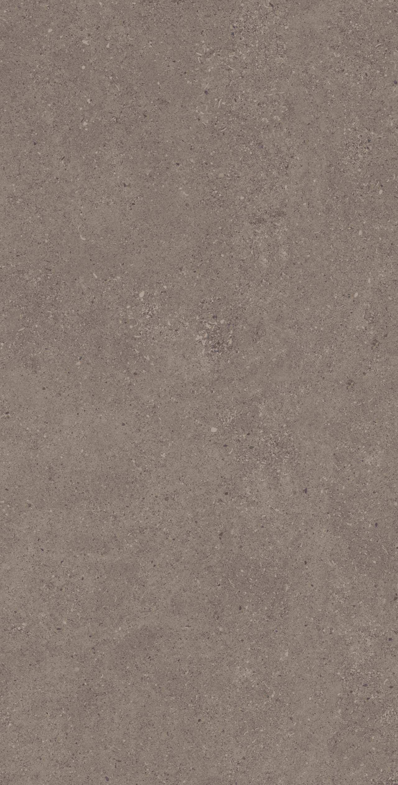 CE04 Спенс Темно-серый Структурированный Рект 60x120x9 Estima фото 4
