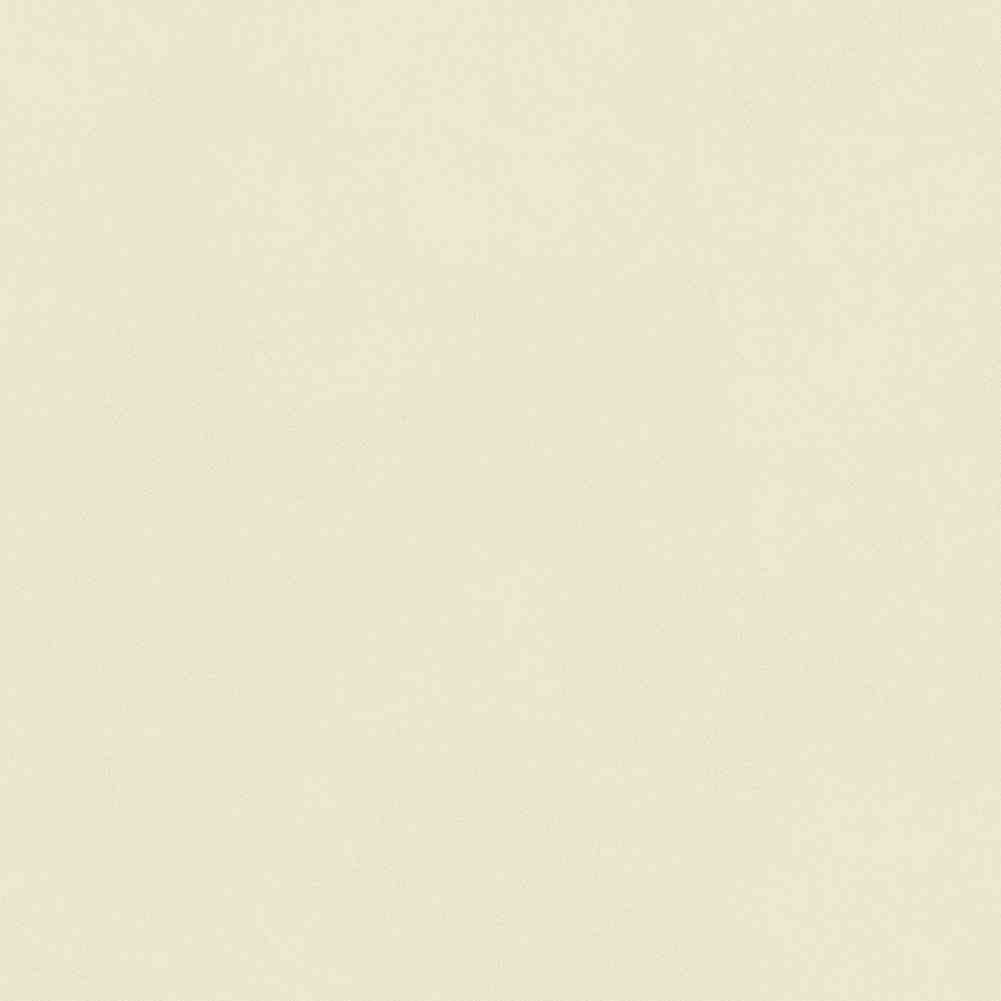 ENCLR6081MT2020 Corsica Beige Matt 200х200х8 Ennface фото 20