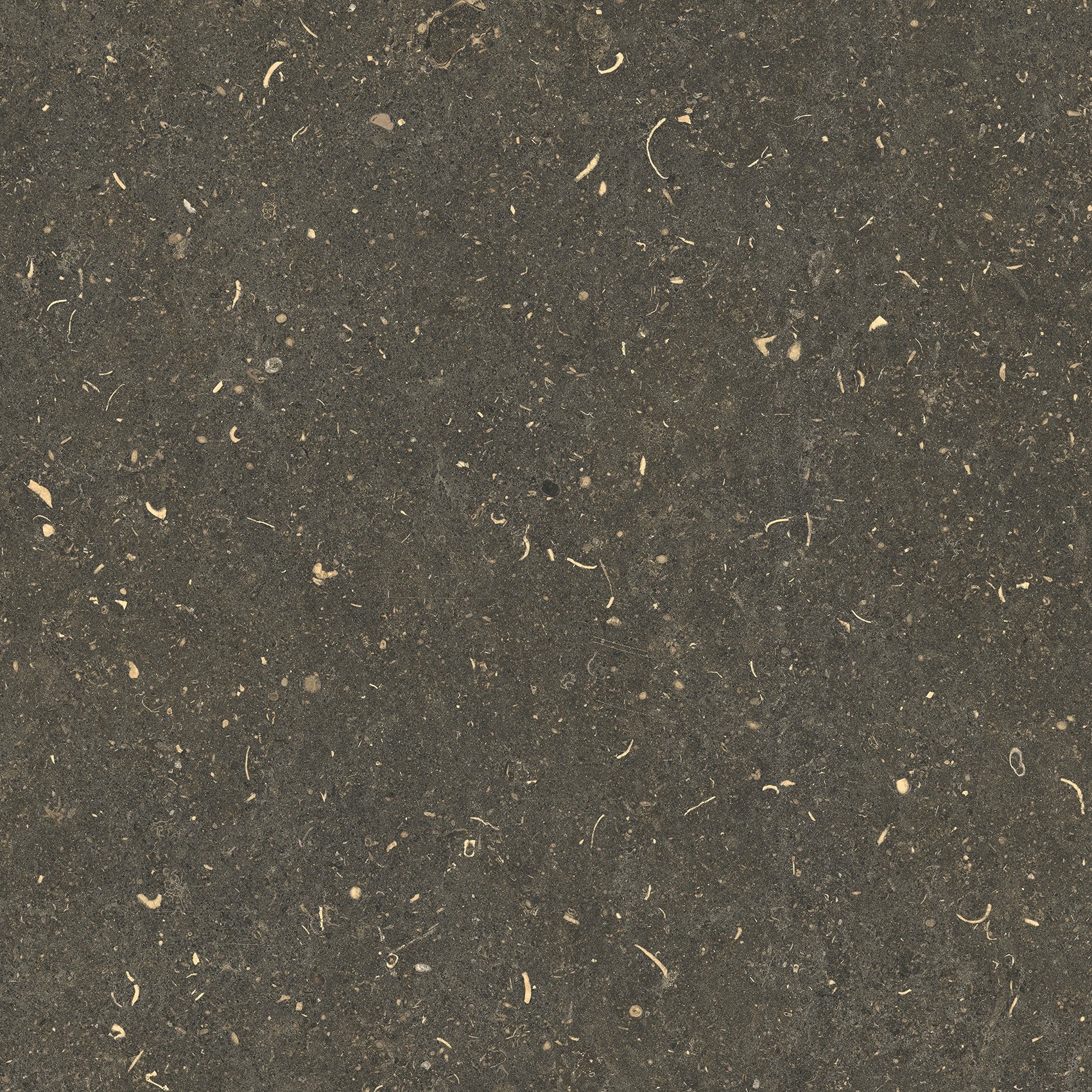 785487 Rinascenza Arena Platino Matte 60x60 Casa Dolce Casa фото 2