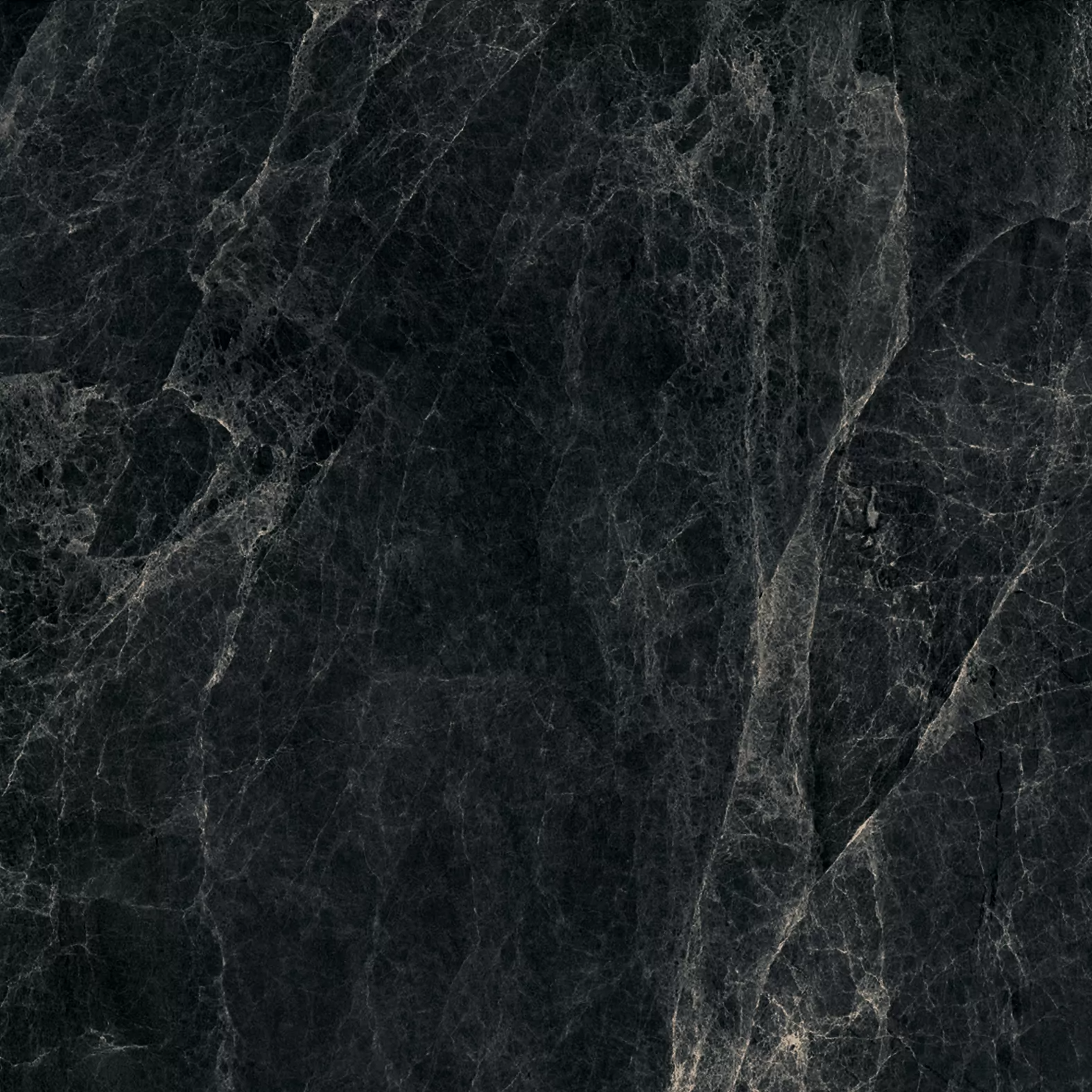 Worner Black sugar lapp. 60x60 Bluezone фото 11
