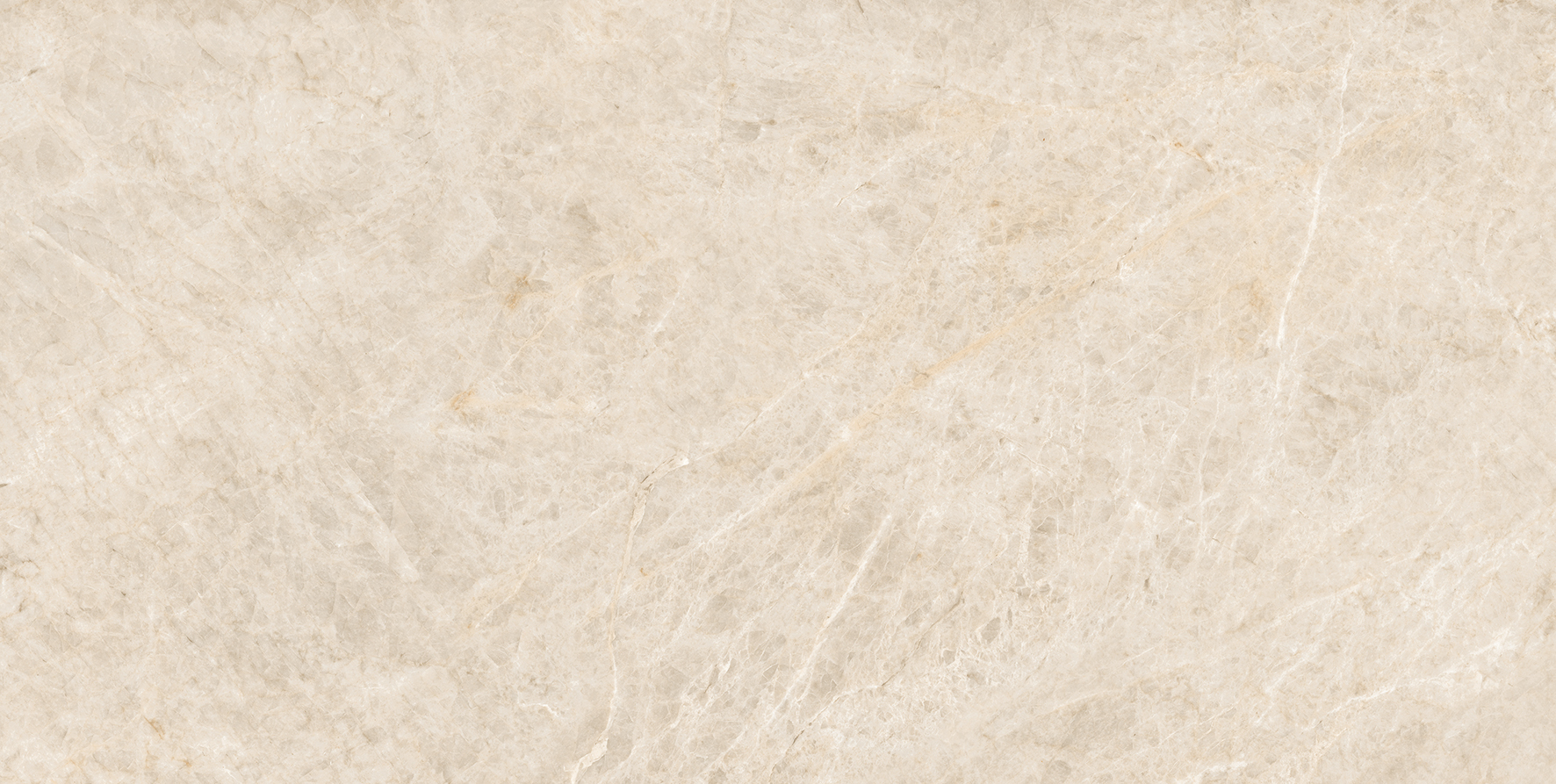 017.869.0001.14164 Taj Mahal Matt Rect 60x120 Pamesa