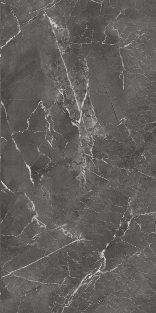 GT1206019809MHRR Oscar Темно-серый матовый 60x120 Global Tile
